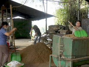 Trang trại nấm hương 