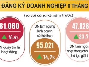 Số doanh nghiệp thành lập mới và quay lại thị trường tăng mạnh