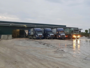 Doanh nghiệp lao đao vì khoản lỗ từ hợp đồng tranh chấp: Gánh nặng tài chính và những thách thức pháp lý