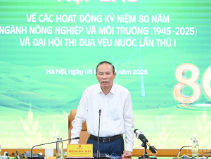 Xuất khẩu nông, lâm, thủy sản bứt phá, tạo đà hoàn thành mục tiêu năm 2025
