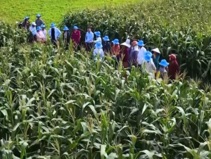 Đại hội XIV của Đảng: Nền tảng mới cho động lực tăng trưởng xanh