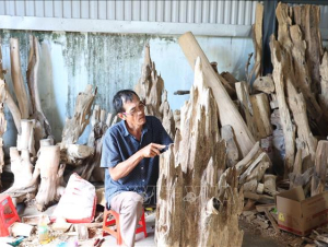 Hương trầm lan tỏa ngày Xuân