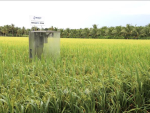 Tiến trình cho nông nghiệp xanh