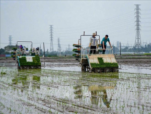 Nông dân tranh thủ thời tiết thuận lợi ra đồng sản xuất đầu Xuân