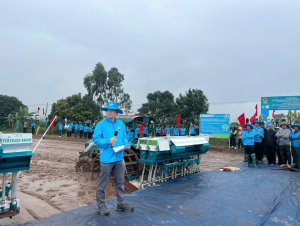 Lúa phát thải thấp: Đồng bằng sông Hồng vào guồng chuyển đổi xanh