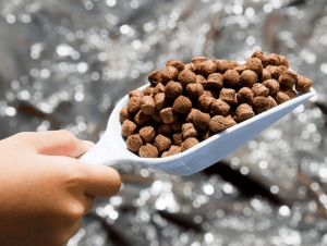 Trình tự, thủ tục cấp phép nhập khẩu thức ăn thủy sản