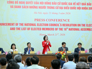 Bầu cử đại biểu Quốc hội khóa XVI: Số đại biểu dự kiến hoạt động chuyên trách trúng cử 100%