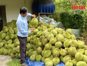 Nông nghiệp Việt Nam tăng trưởng ổn định, tiếp tục chuyển dịch theo chuỗi giá trị