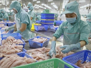 Tận dụng thời cơ, vượt qua thách thức tiếp tục phát triển nhanh và bền vững đất nước