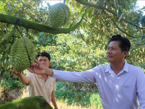 Khát vọng làm giàu từ tư duy nông nghiệp hiện đại