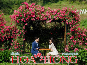 Hàng vạn du khách “đổ về” Fansipan, nô nức check in Lễ hội Hoa hồng 2026