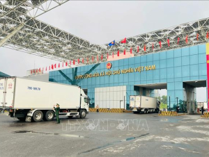 Thu ngân sách từ xuất nhập khẩu tăng 16,5%