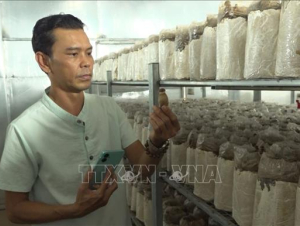 Phát triển nông nghiệp hiện đại trong thời đại số