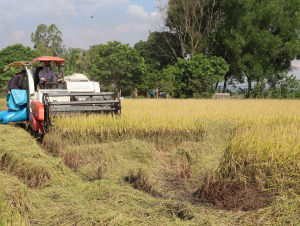 Đột phá phát triển kinh tế tập thể