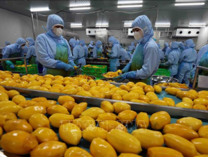 Thị trường Halal mở dư địa tăng trưởng mới cho doanh nghiệp Việt