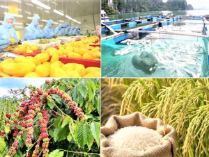 Xuất khẩu nông, lâm, thủy sản tăng hơn 10% so với cùng kỳ