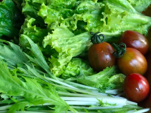 Nông sản sạch rời chợ phiên, bước vào cuộc chiến chuỗi bán lẻ cố định
