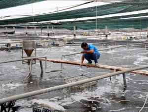Canh tác biển, động lực mới cho kinh tế biển Việt Nam