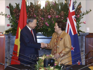Tổng Bí thư, Chủ tịch nước Tô Lâm hội đàm với Toàn quyền New Zealand
