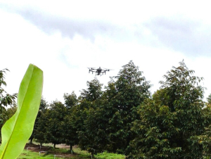 Thử nghiệm và xây dựng chiến lược cho thiết bị bay không người lái (UAV)