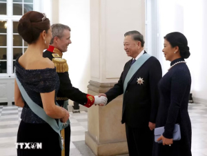 Tổng Bí thư, Chủ tịch nước Tô Lâm: Quan hệ Việt Nam và Đan Mạch tiếp tục phát triển mạnh mẽ, thực chất hơn
