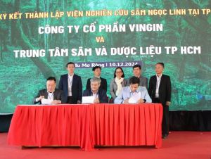 Thành lập Viện Nghiên cứu Sâm Ngọc Linh