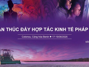 Từ ngày 17-19/6 sẽ diễn ra Đoàn thúc đẩy hợp tác kinh tế Pháp ngữ lần thứ 6