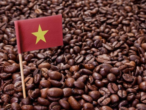 Cà phê Việt cần khẳng định thương hiệu để bứt phá