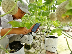 Chuyển đổi số có đang đè nặng doanh nghiệp nhỏ?