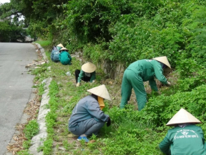 Công ty Cổ phần Công trình công cộng và Dịch vụ du lịch Hải Phòng: Đồng hành cùng thành phố vì mục tiêu xây dựng đô thị xanh, sạch, đẹp, hiện đại
