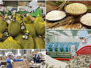 Nông lâm thủy sản và sầu riêng sẽ được ưu tiên thông quan