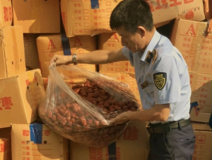 Hà Nội tạm giữ hơn 4 tấn táo đỏ nhập lậu, nguy cơ ảnh hưởng sức khỏe người tiêu dùng