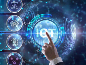 IoT trong nông nghiệp Việt Nam: Bước tiến và cách thức học hỏi từ láng giềng