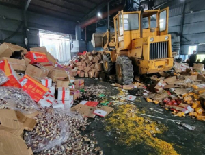Phú Yên tiêu hủy lô hàng hơn 2,5 tỷ đồng giả nhãn hiệu, không rõ nguồn gốc