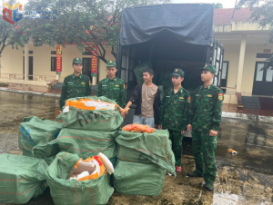 Quảng Ninh: Bắt vụ vận chuyển hơn 1 tấn trứng gà non không rõ nguồn gốc