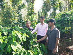 Gia Lai: Làng Kênh thoát nghèo nhờ 