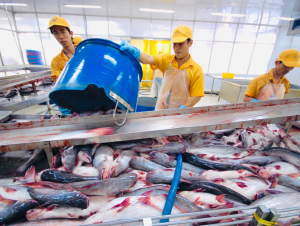 Mỹ giữ thuế chống bán phá giá 0% cho nhiều nhà xuất khẩu cá tra Việt Nam