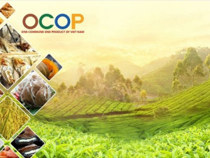 Phát triển OCOP thành thương hiệu Việt Nam, đạt chuẩn quốc tế trên thị trường toàn cầu