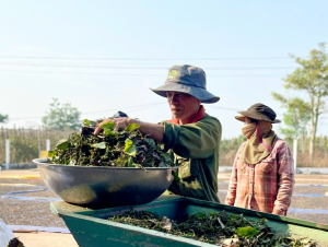 HTX Nam Yang: 5 sản phẩm OCOP 5 sao và hành trình “giữ đất, giữ người”