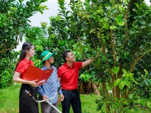 Agribank - doanh nghiệp ESG Việt Nam Xanh 2025
