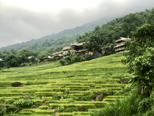 Khám phá mùa vàng trên đỉnh Pù Luông
