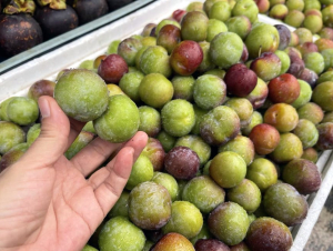 Đào mận Trung Quốc núp bóng nông sản Việt Nam