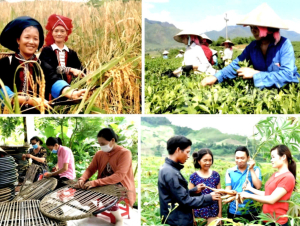 Thực hiện các chương trình mục tiêu quốc gia đồng bộ với mô hình chính quyền địa phương 2 cấp