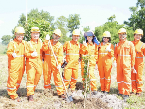 NCSP và PV GAS D chung tay phủ xanh không gian sống
