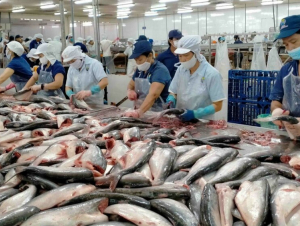 Trung Quốc vẫn dẫn đầu danh sách nhập cá tra VN