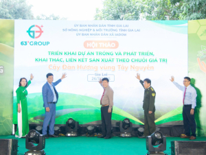 Phát triển cây đàn hương – hướng đi bền vững cho Tây Nguyên