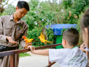Tặng con mùa hè đáng nhớ – học điều hay từ thế giới diệu kỳ VinWonders Nam Hội An