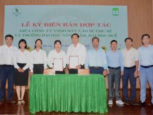 Cao su Chư Sê và Đại học Nông lâm Huế ký kết hợp tác phát triển nông nghiệp công nghệ cao