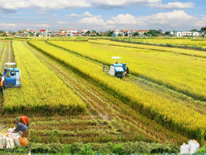 Cơ chế thử nghiệm linh hoạt: Đòn bẩy đổi mới trong nông nghiệp hiện đại