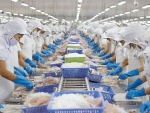 Xuất khẩu thuỷ sản 7 tháng đầu năm tăng trưởng tích cực